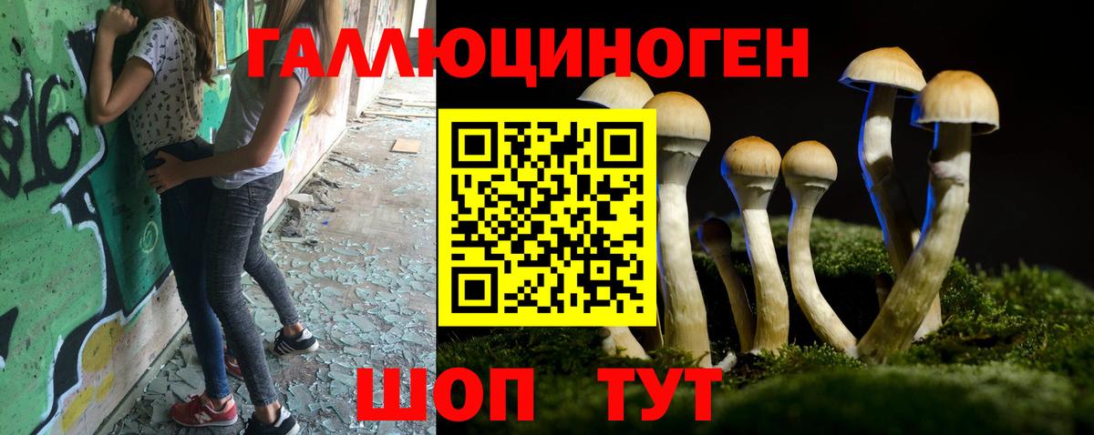 Галлюциногенные грибы мицелий Анжеро-Судженск